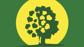 Sváteční komentované prohlídky