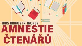Amnestie čtenářů