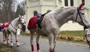 Vánoční jízdárenský trh 2024