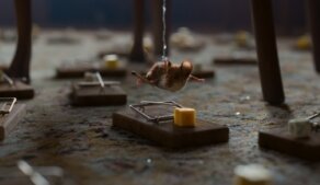 Myši v akci: Vánoční past