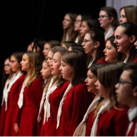 Vánoční koncert TDS