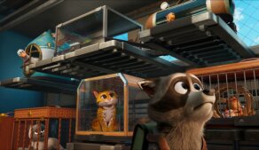 Mazlíčci v průšvihu