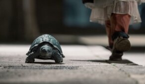 Dívka Momo a zloději času