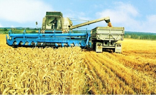 Promítání starých fotografií