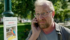 Někdo to rád v Plzni