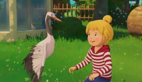 Conni: Tajemství jestřába