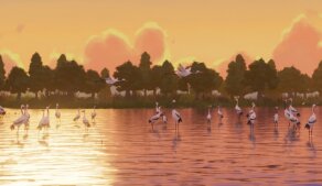 Conni: Tajemství jestřába