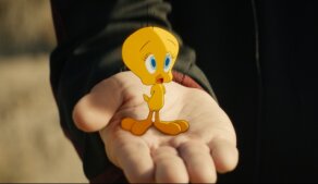 Kojot vrací úder