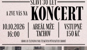 Plakát 30 let KOZTliveCZ